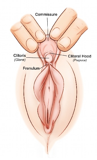 Clitoris foreplay technique
