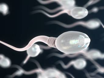 How long can sperm really survive in water