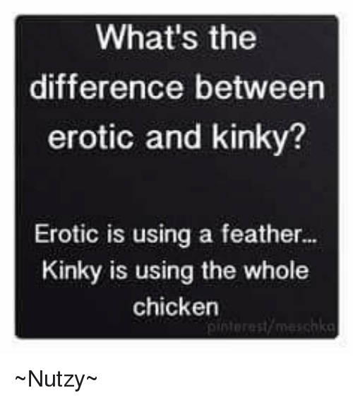Difference between kinky and erotic