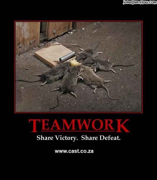 Dragonfly reccomend Teamwork joke