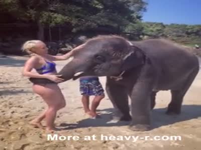 Bubbles reccomend Real elephant fucks girl video