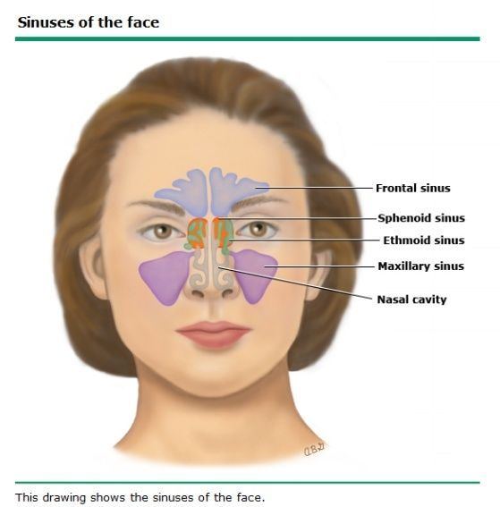 Facial flushing nasal congestion prednisone
