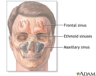 Side Z. reccomend Facial flushing nasal congestion prednisone