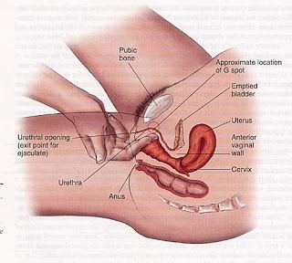 Female masturbation position