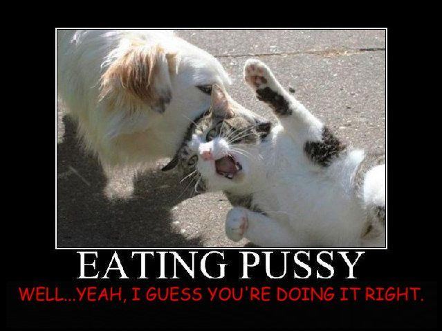 Funny pictures about eating pussy . New porn. Comments: 3