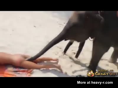 Ribbie reccomend Girls having sex with elephants free