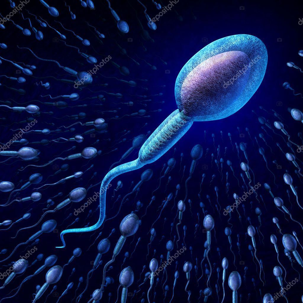 Human picture sperm