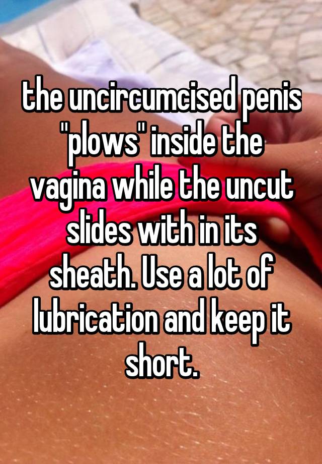 best of Goes in small Lubricated pussy penis