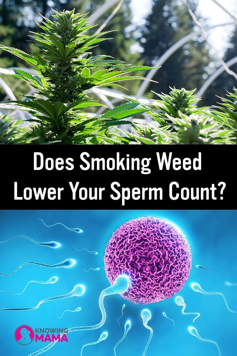 best of Smoking sperm Marijuana count and