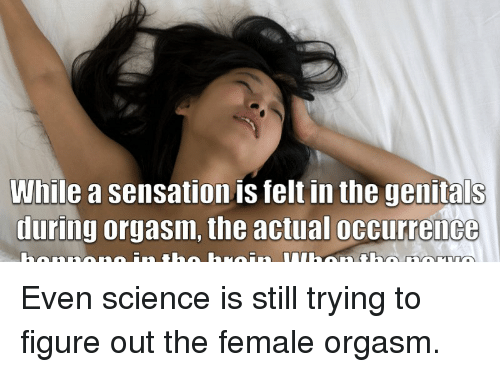 HQ reccomend No sensation during orgasm
