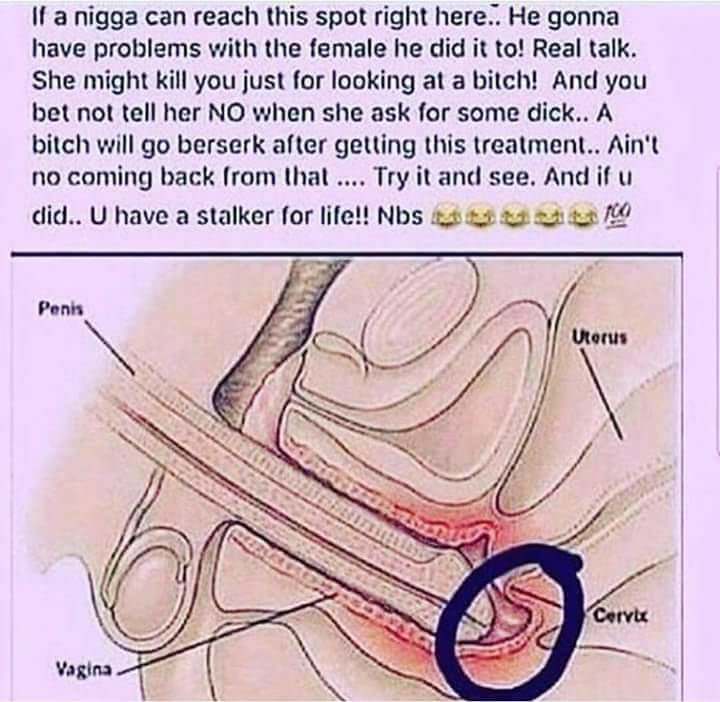 Fucking Her Cervix