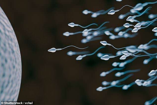 Helmet reccomend Scientists find clue sperm infertility cells cure men