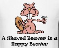 best of Beaver cartoon Shaved