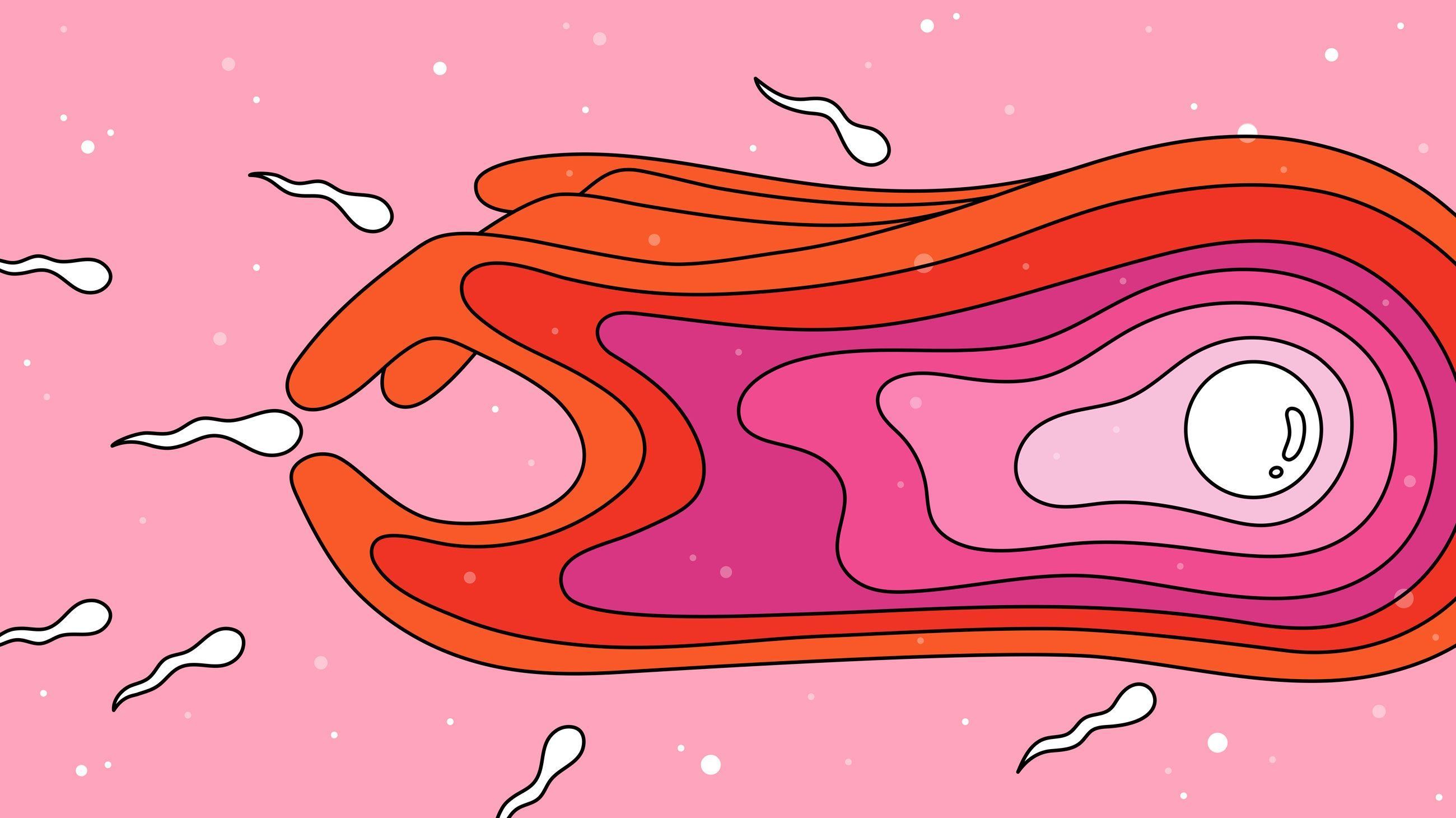 Sperm war the science of sex