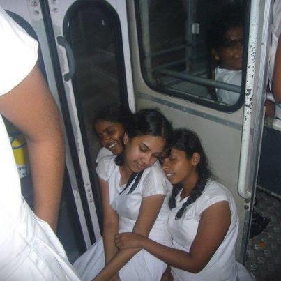 Appaloosa reccomend Srilankan school girls fuck