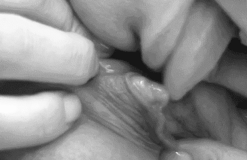 Swollen clit licking