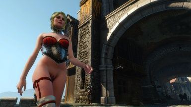 The witcher girls nude