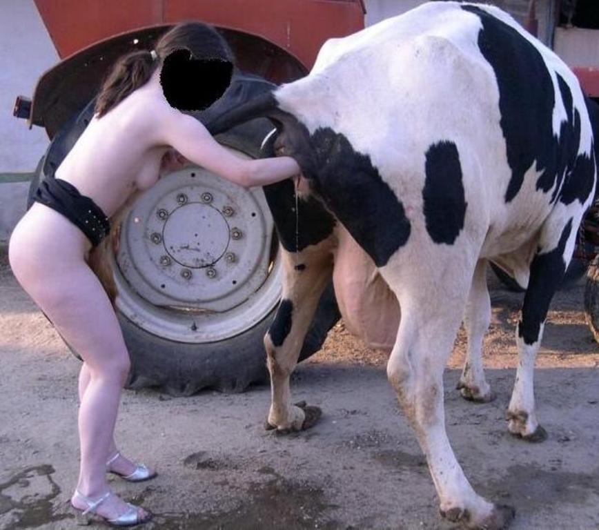 Man eat cow pussy Cow Pussy Women Top Porn Photos Comments 1